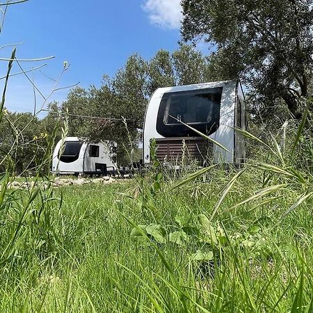 Bademli Caravan Garden Δεκελί Εξωτερικό φωτογραφία