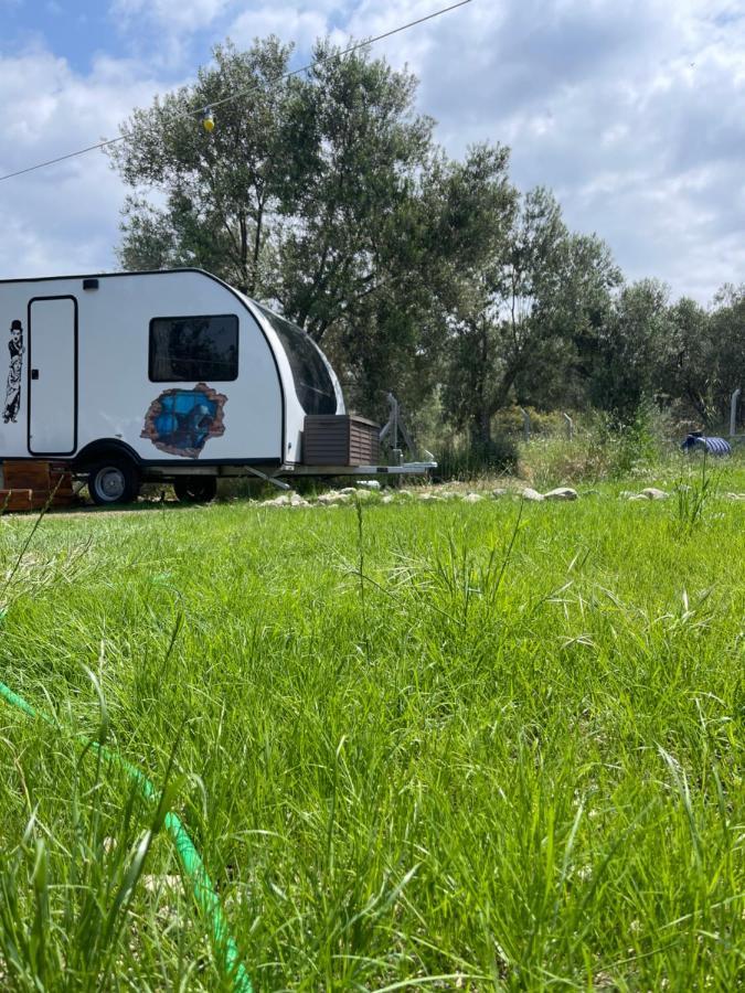 Bademli Caravan Garden Δεκελί Εξωτερικό φωτογραφία